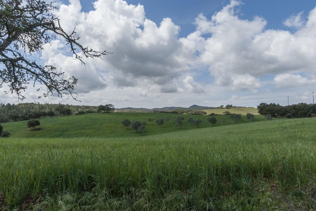 サン・ルイス Monte Pedras Negrasゲストハウス エクステリア 写真